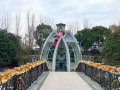 -上海东方佘山翰悦阁酒店·Vie全日制餐厅