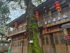 -雅安上里古镇