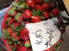 -老炳·七丛松甘草水果