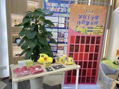 -小荧星艺校(大宁分校)