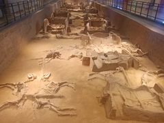 -洛阳周王城天子驾六博物馆