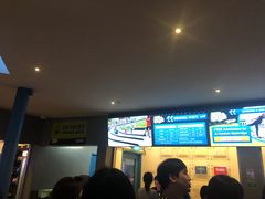 -圣淘沙天际线斜坡滑车