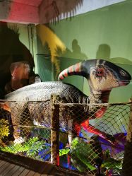 点击看大图 -恐龙探索乐园(磁器口店)