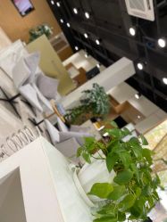 -CARR SALON