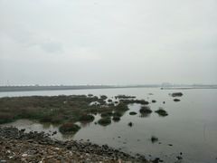 -吕四渔港码头海鲜餐厅