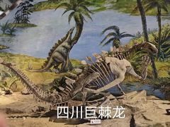 -自贡恐龙博物馆