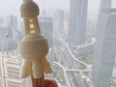 -东方明珠广播电视塔