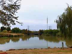 -九里河湿地公园
