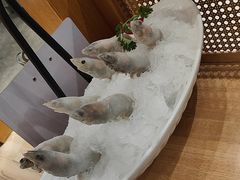 -蜀九香火锅(江油店)