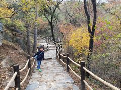 -阳台山自然风景区