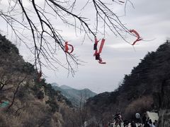 -泰山风景名胜区