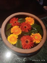 -琦品高端美容SPA私佳美场