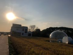 -MUSEO COFFEE咖啡博物馆