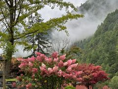 -古尔沟华美达温泉度假酒店