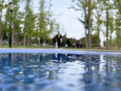 -羊亭河湿地公园