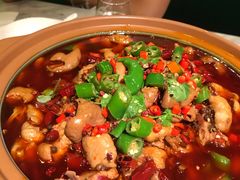 泉水肥肠鸡-雀蓝川菜(星悦汇店)