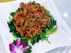 -四海之家(蛇口店)