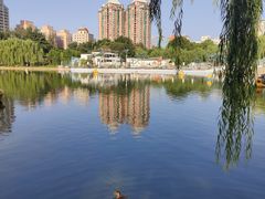 -团结湖公园