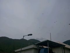 -大澳