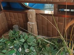 -江小渔鲜鱼火锅(西二道街店)