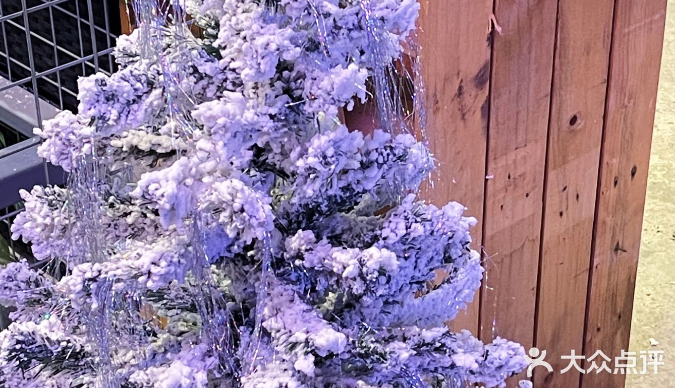 顺德的咖啡厅也太浪漫了🎄谁能不爱这圣诞氛围呢