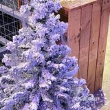 顺德的咖啡厅也太浪漫了🎄谁能不爱这圣诞氛围呢