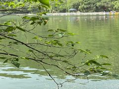 -秦岭终南山世界地质公园翠华山景区