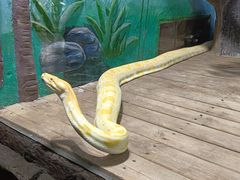 -石家庄市动物园