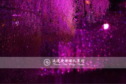 -上海万豪虹桥大酒店·宴会厅