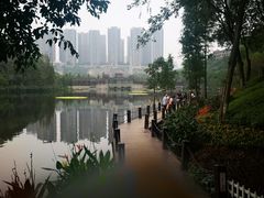 -重庆彩云湖湿地公园