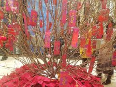 -堂会·KTV·自助餐·团建聚会(天河店)