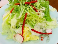 蔬菜沙拉-青瓦餐厅·生鱼片·韩园烤肉(西塔店)