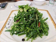 呛拌丝瓜尖-张记荞面馆