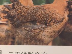 -云海肴·汽锅鸡·云南代表菜(东坝金隅店)