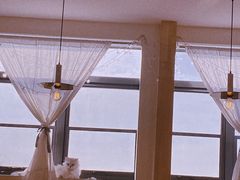 -猫腻·猫咖·撸猫馆(星光大道店)