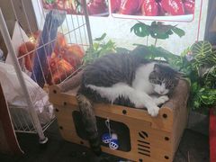 -牟记江湖特色重庆菜鱼蛋青蛙黄鳝海参(巴南区鱼洞鲁能店)