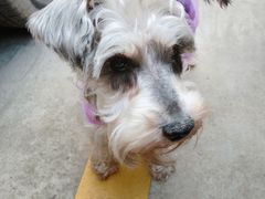 -爱侣宠医·鹦鹉专科·小型哺乳类·异宠专科(灵石路店)