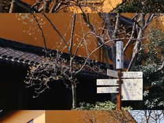 -龙华寺