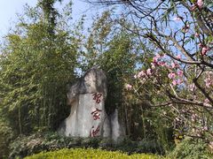 -习家池