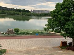 -洛龙公园
