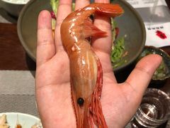 -古京·臻致料理(月湖店)