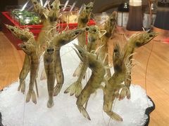 深水虾-尚海豆捞(乐虹坊店)