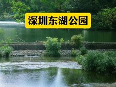-麗枫酒店(深圳机场福永地铁站店)