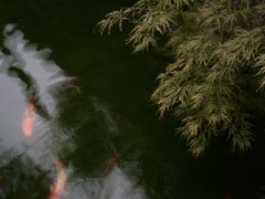 -径山寺