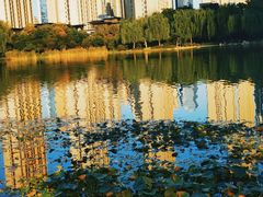 -木塔寺遗址生态公园