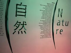-上海当代艺术博物馆