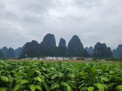 -钟山水墨田园