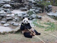 -杭州野生动物世界