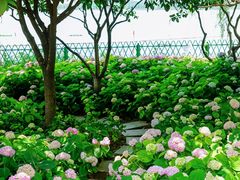 -金银湖国家城市湿地公园