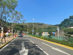 -仙岳公园